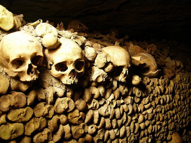 Crânes et tibias empilés le long d'une galerie des Catacombes de Paris