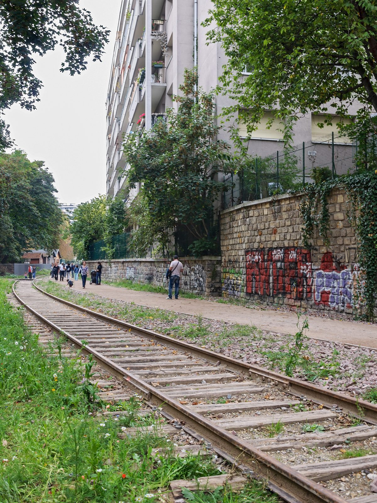 Les rails de la Petite Ceinture envahis de végétation, dans le 15e arrondissement